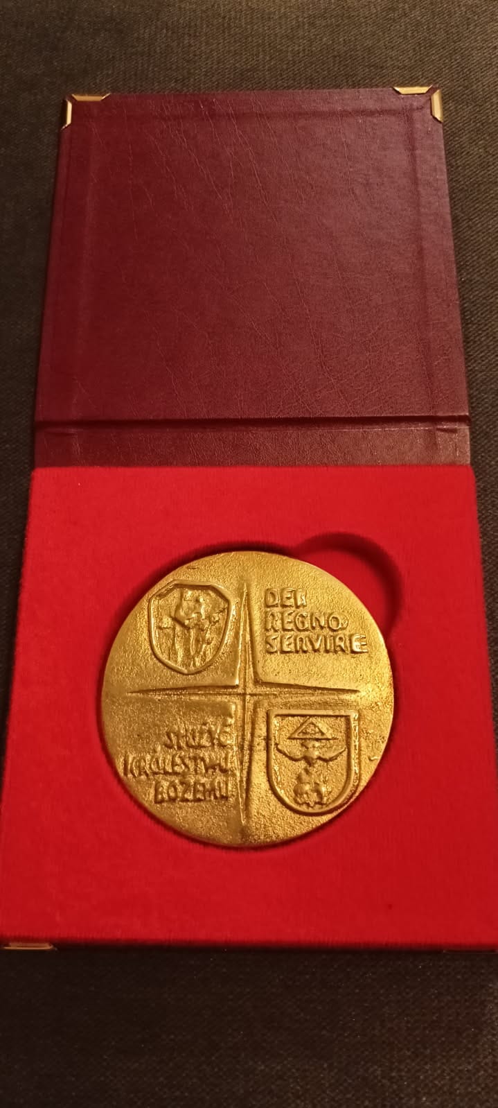 Odznaczenie Dei Regno Servire